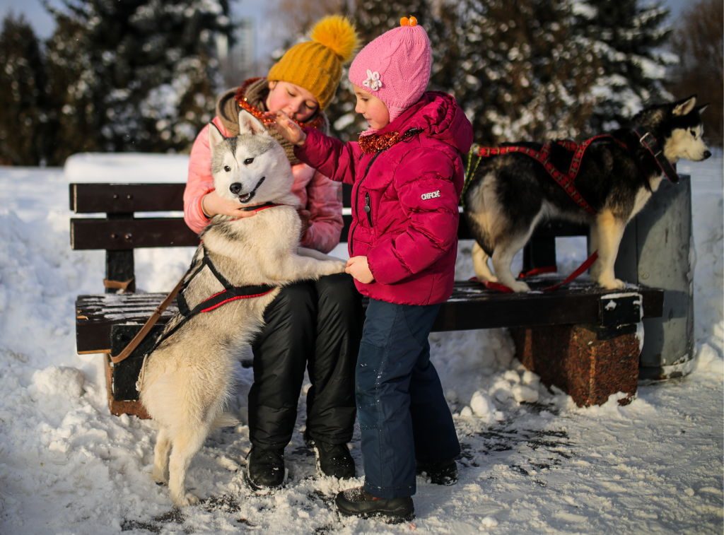Winter leisure in Moscow's Victory Park
