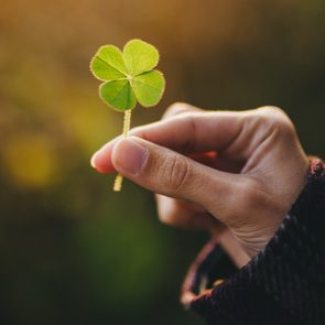 A hand holds a four-leaf clover against a blurred, warm-toned background.