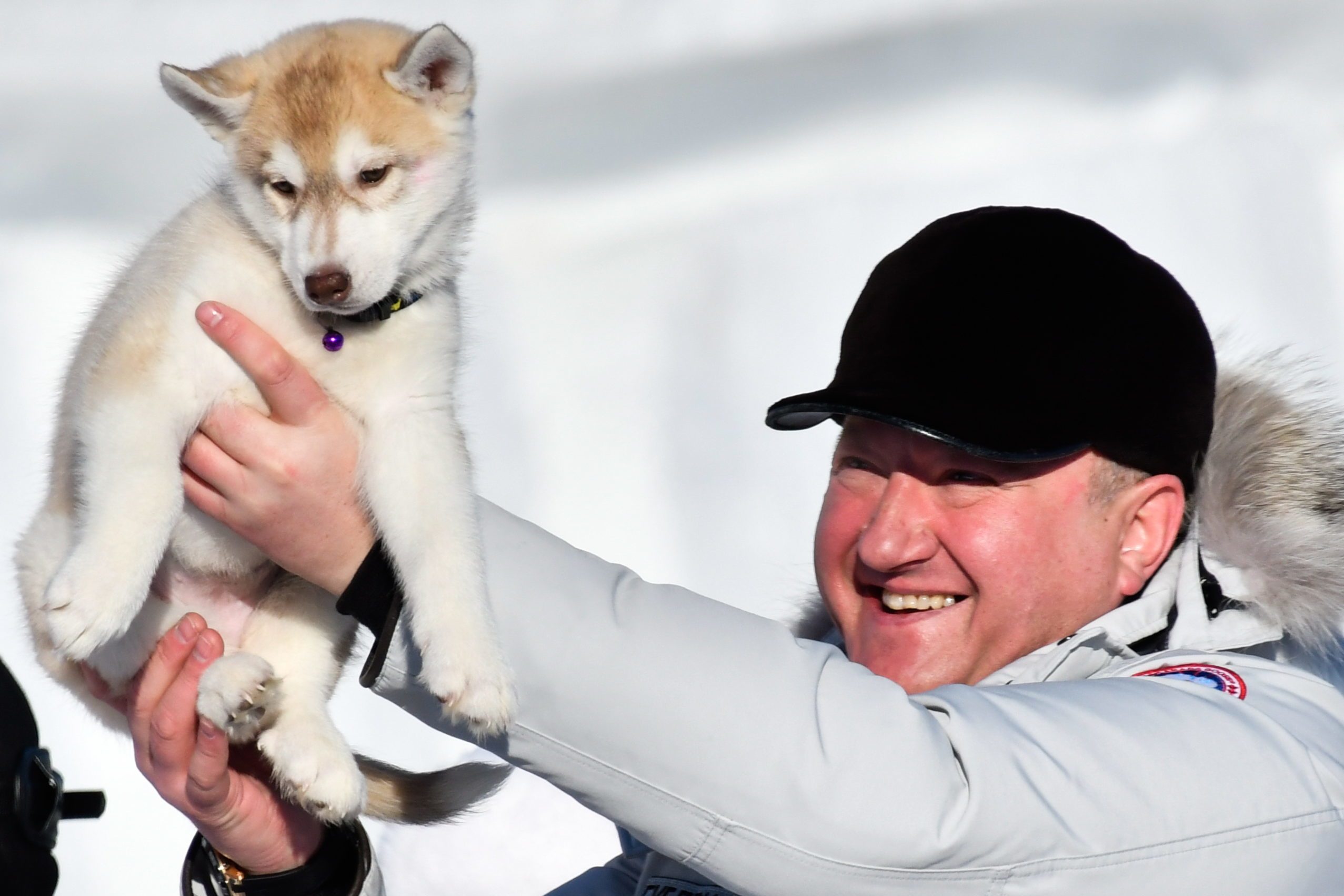 Beringia 2017 sled dog race in Kamchatka