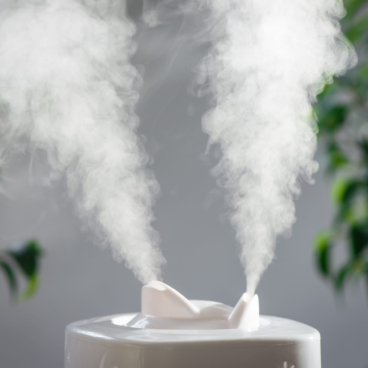12 Best Humidifiers of 2025 to Keep You Healthy All Winter