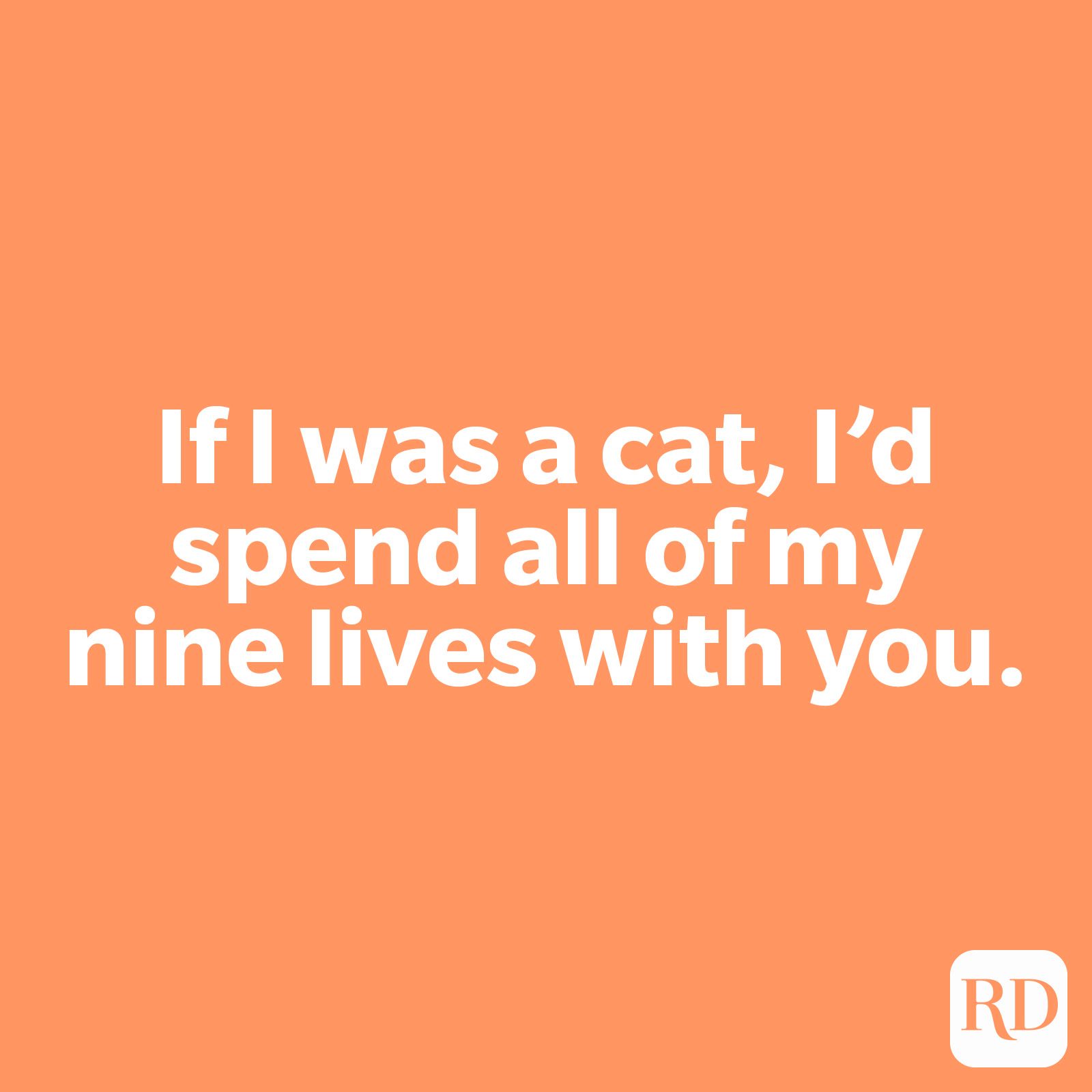If I was a cat, I’d spend all of my nine lives with you.