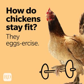 Chicken holds barbell illustration humorously; text: 