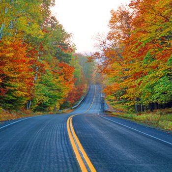 A winding road stretches through vibrant autumn foliage, bordered by trees with red, orange, and green leaves under a clear sky.