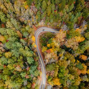 Car navigates a winding road surrounded by dense, colorful autumn trees seen from above.