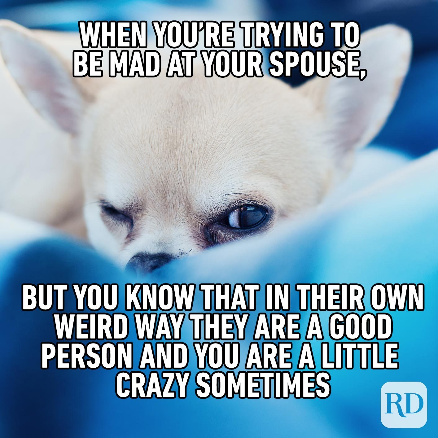Dog with one eye open. Meme text: When you’re trying to be mad at your spouse, but you know that in their own weird way they are a good person and you are a little crazy sometimes