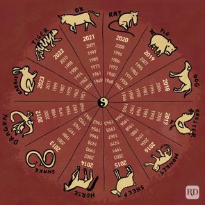 Animals circle a yin-yang symbol, representing Chinese zodiac years from 1948 to 2023. Illustrated animals include rat, ox, tiger, rabbit, dragon, snake.
