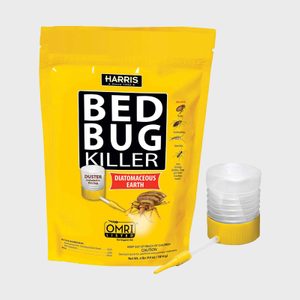 Yellow bed bug killer packaging displays product name and usage information, featuring a duster tool alongside.
