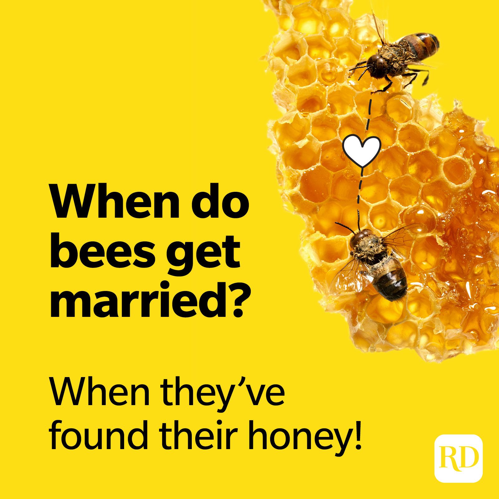 Beepun1