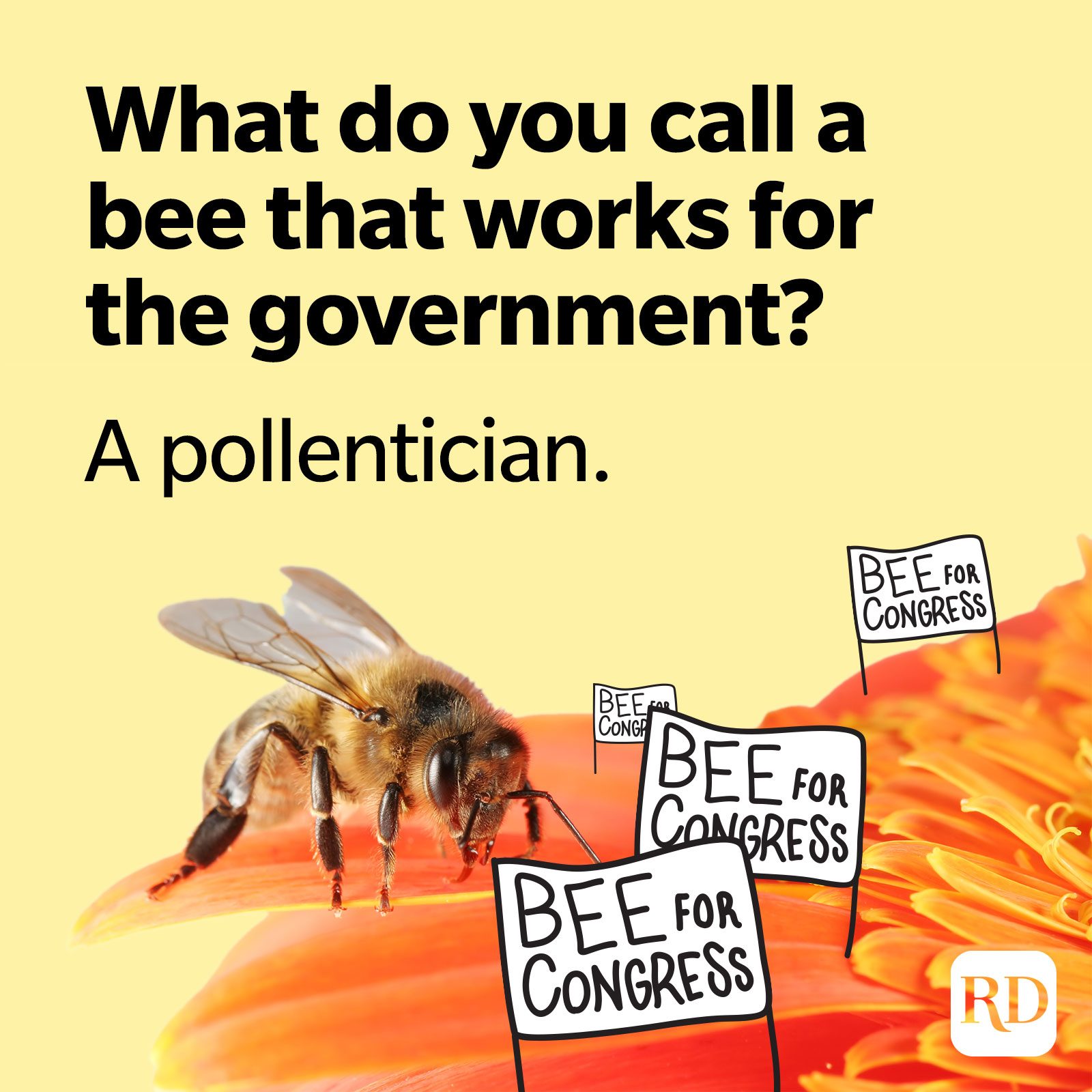 Beepun2