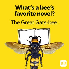 A bee hovers over an open book illustration on a bright yellow background. Text reads: 