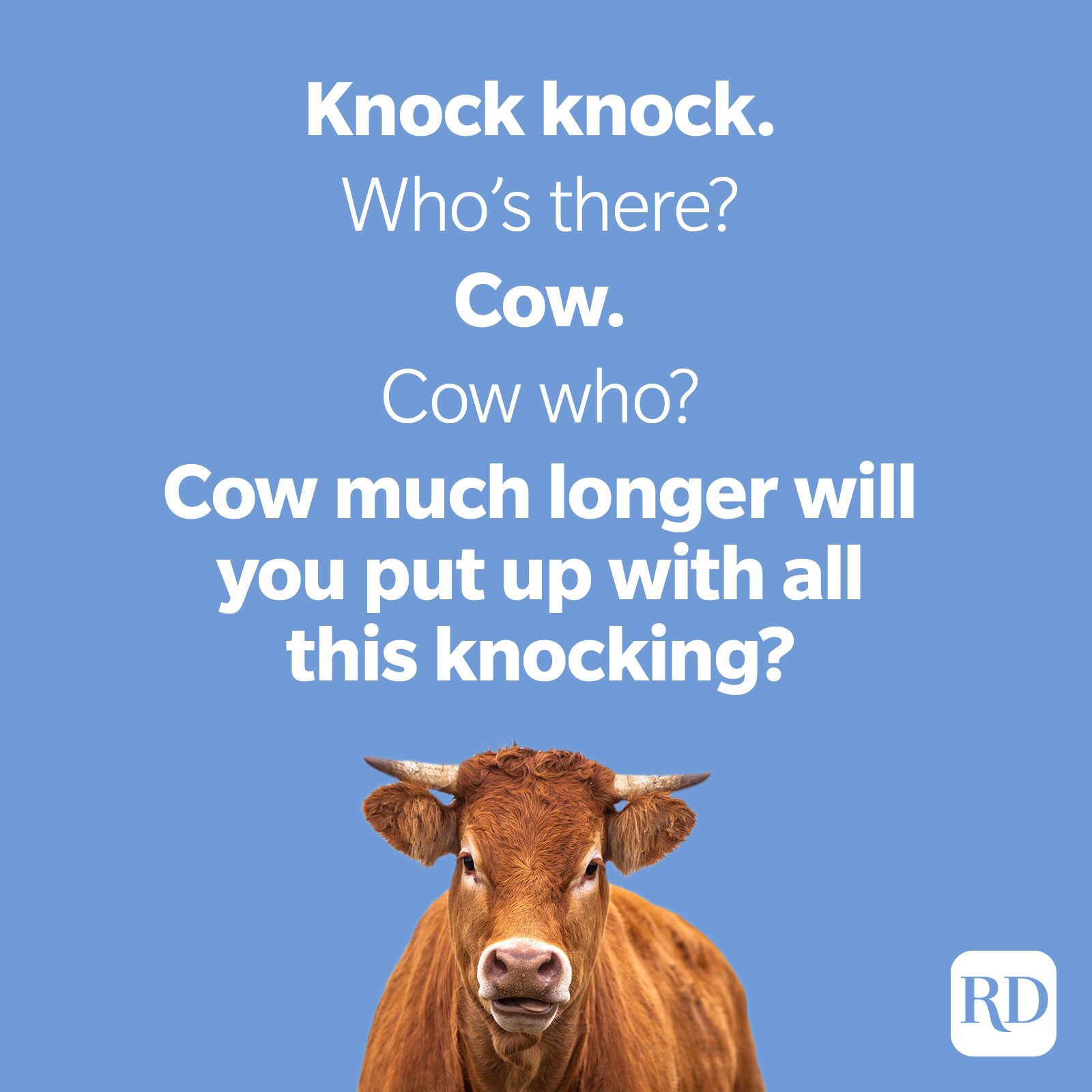 49. Knock knock. Who’s there? Cow. Cow who? Cow much longer will you put up with all this knocking?