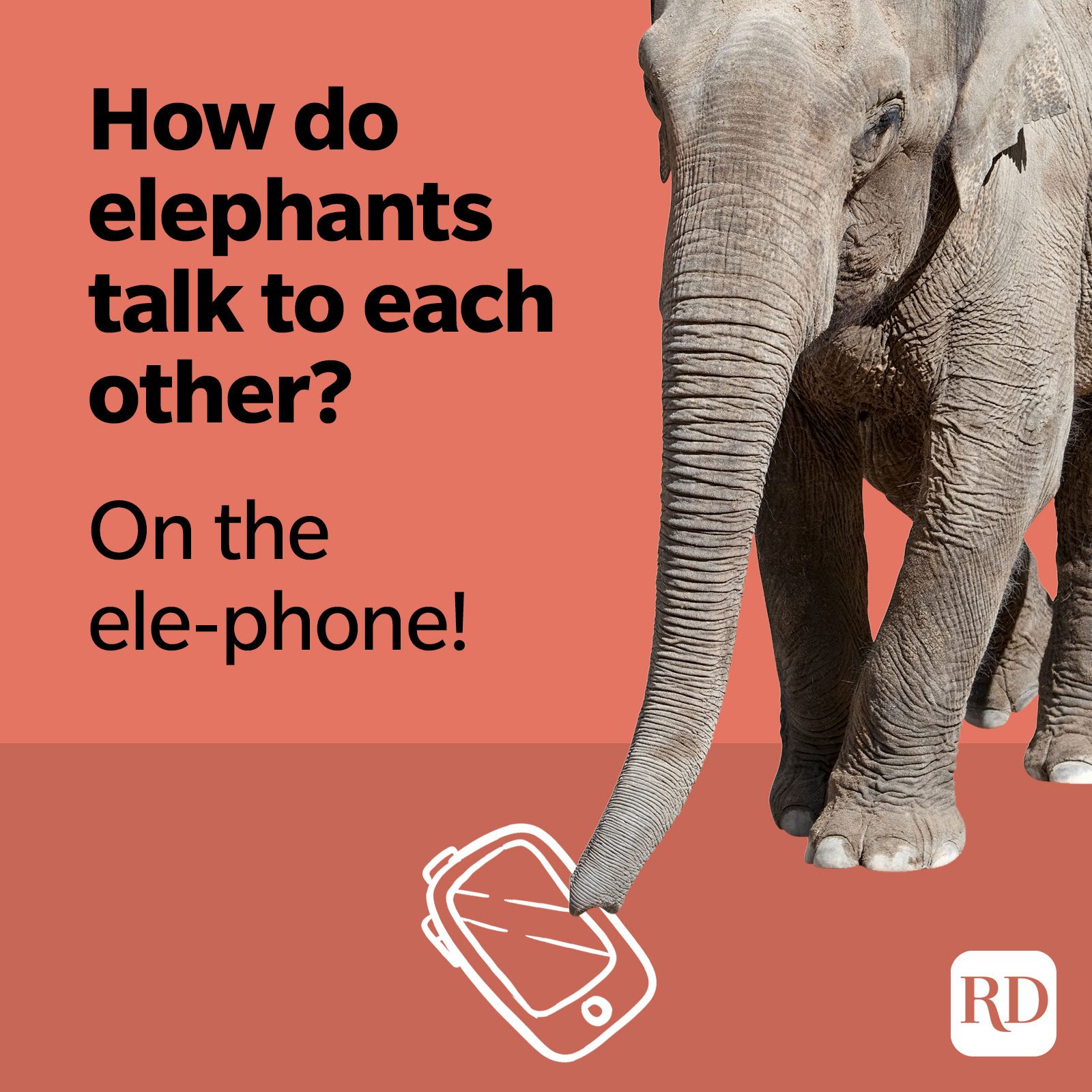 How do elephants talk to each other? On the ele-phone!