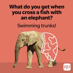 Elephant stands humorously with cartoon swimming trunks on orange background. Text above reads, 