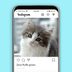 43 Purrfect Instagram Captions for Your Cat Photos