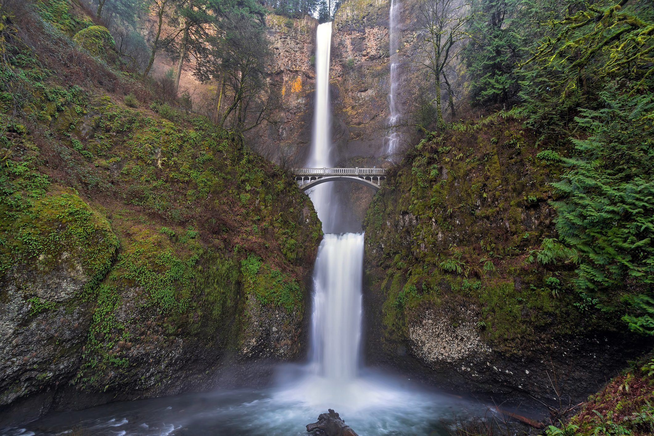 Multnomah Falls at Columbia River Gorge Oregon in Spring