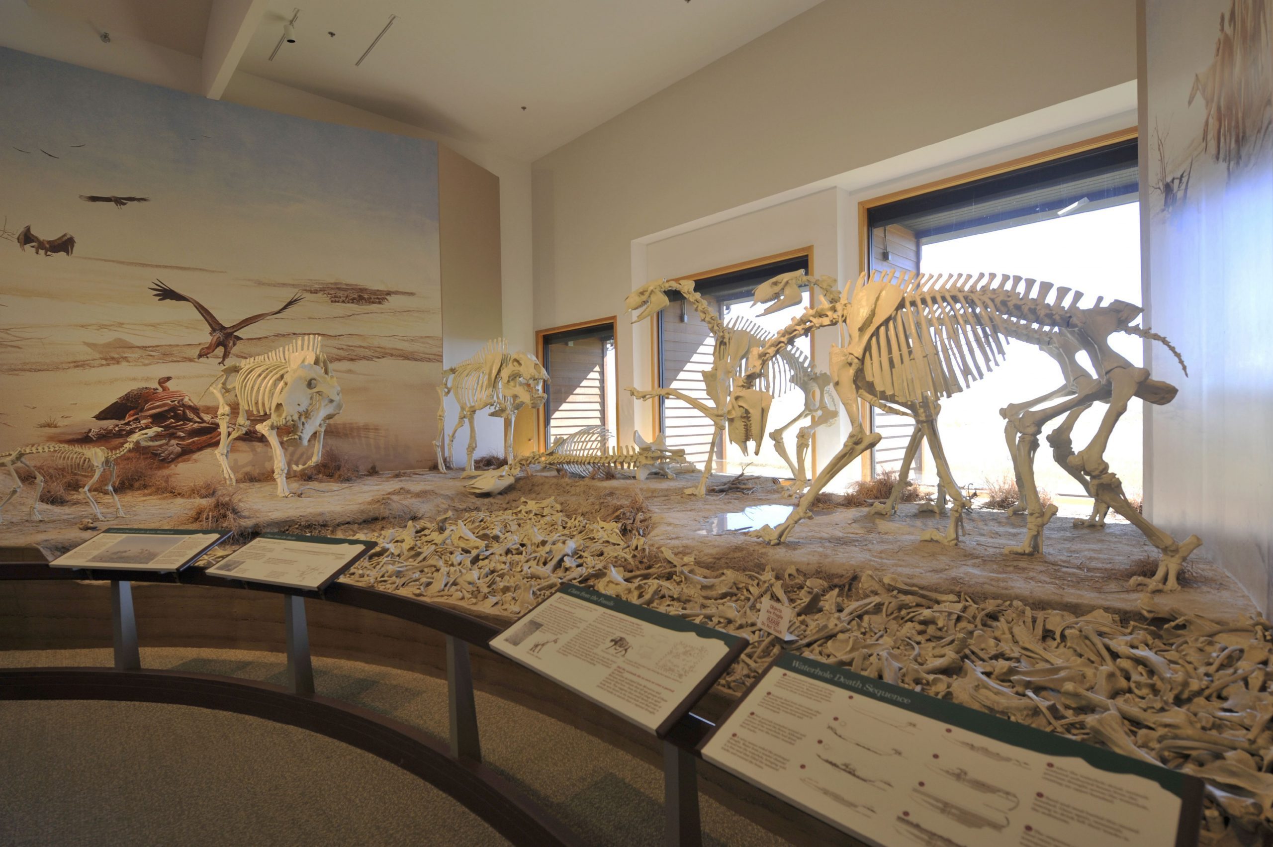 Nebraska, Agate Fossil Beds National Monument, Visitor Center, Fossil Exhibit