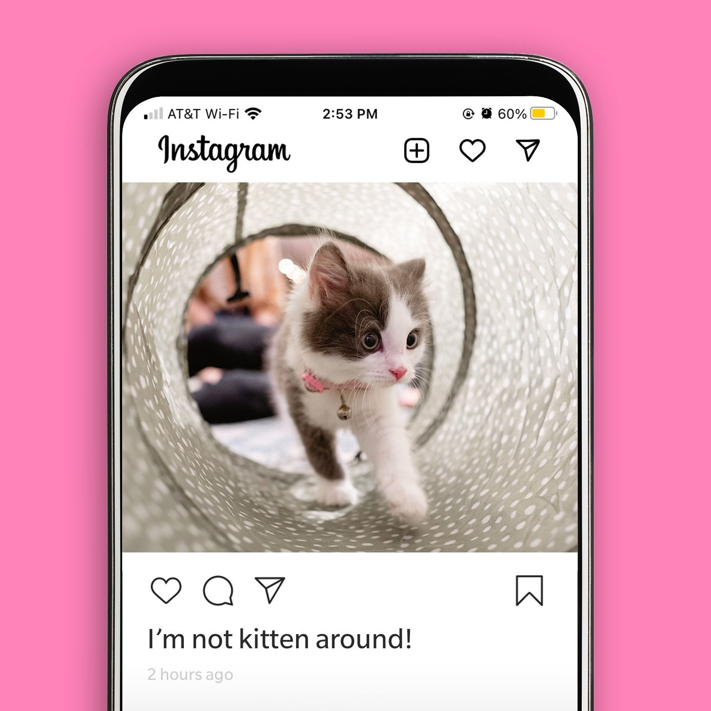 Notkitten