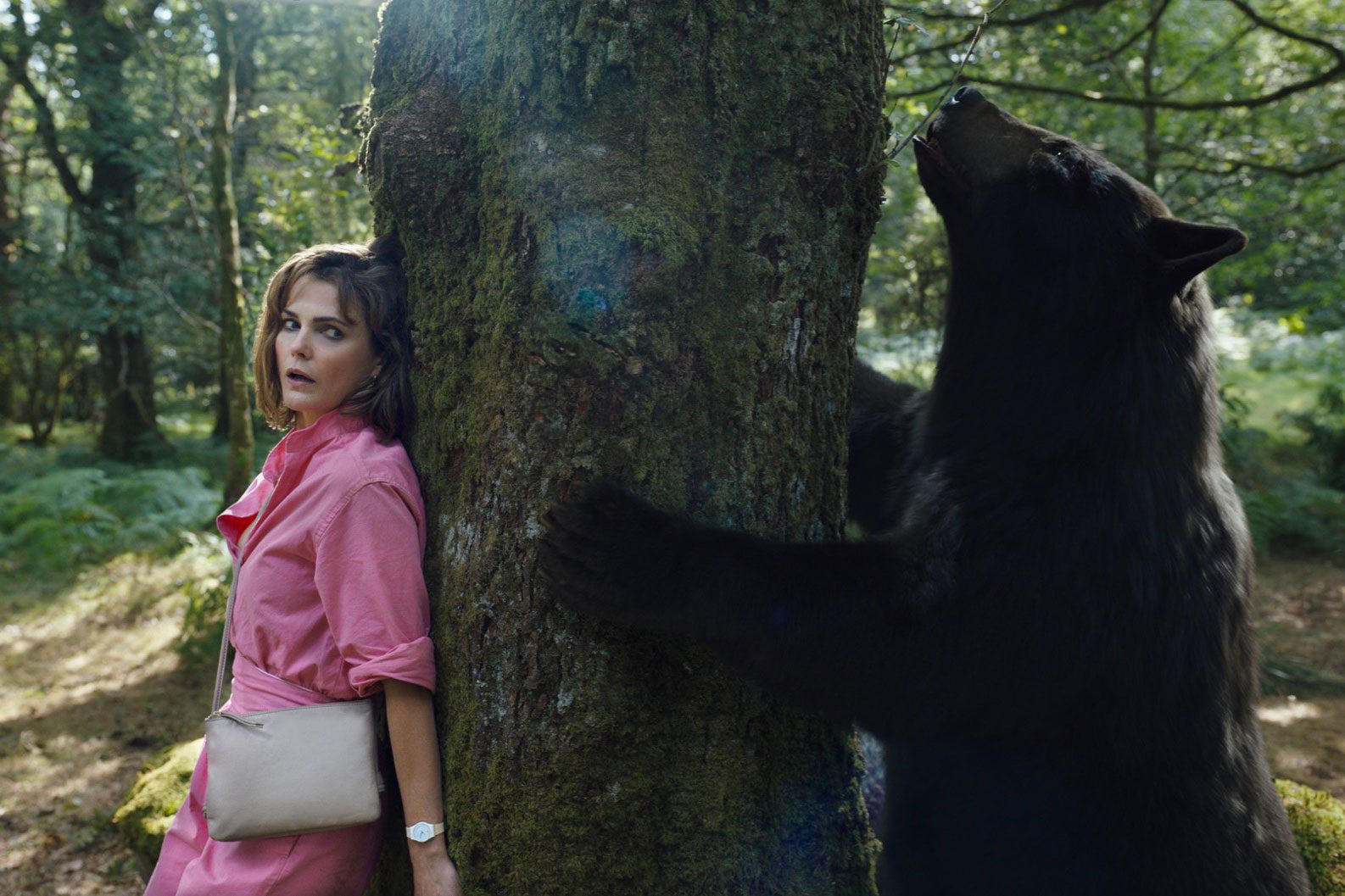 Cocaine Bear Movie