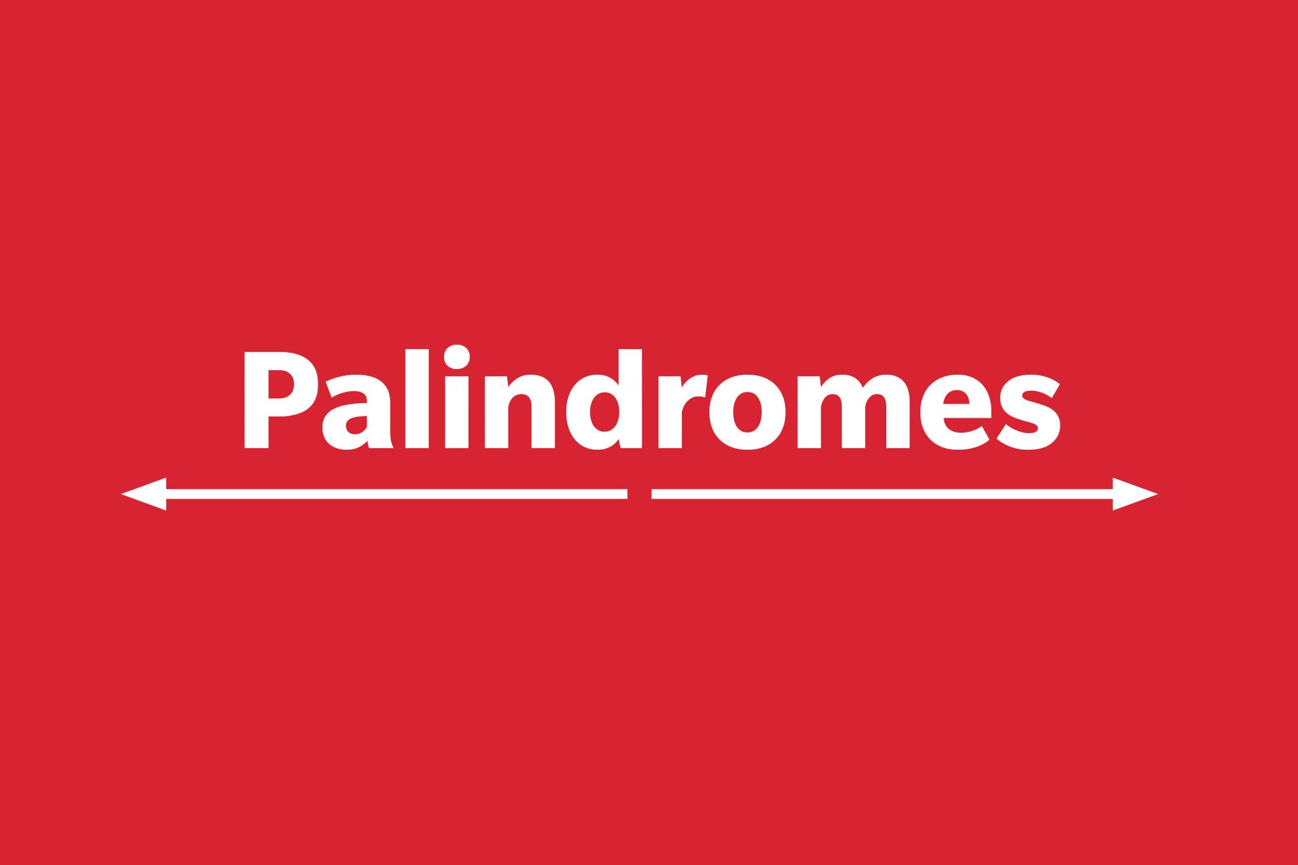20 Funny Palindrome Sentences That Read the Same Backward