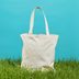 Are Reusable Bags Good for the Environment?