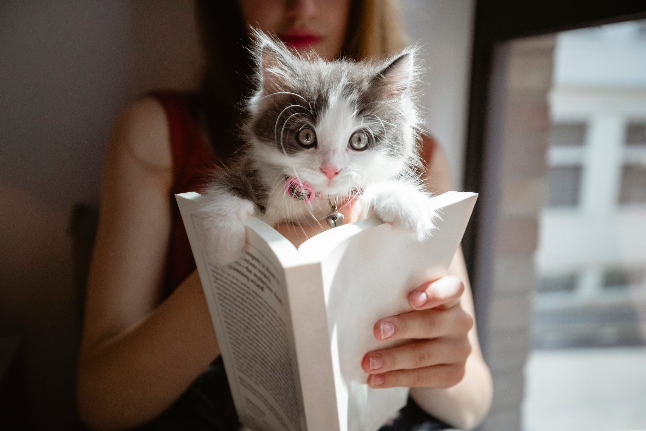 Peek a Boo!