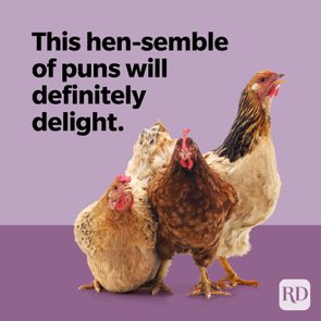 Chickens stand together against a purple background; text reads, 