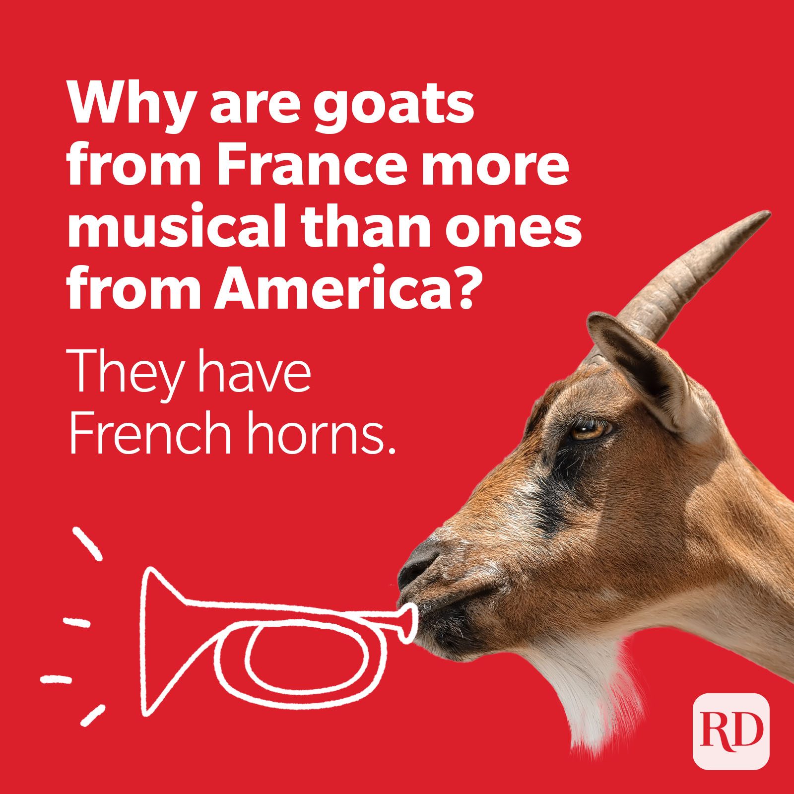 Goat playing a horn