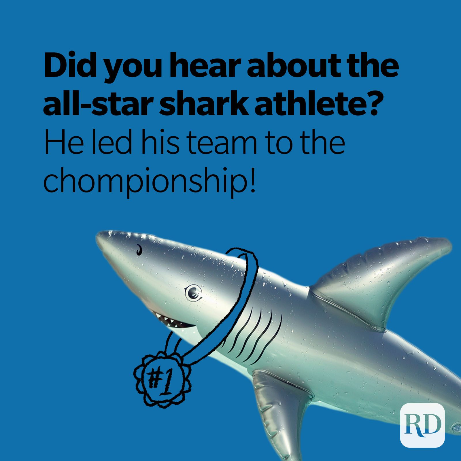 Shark wearing first place medal