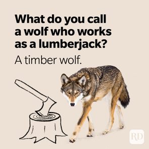 Wolf stands beside a sketched axe in a stump; text reads: 