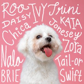 White fluffy dog smiling with tongue out, against a pink background featuring handwritten names like 