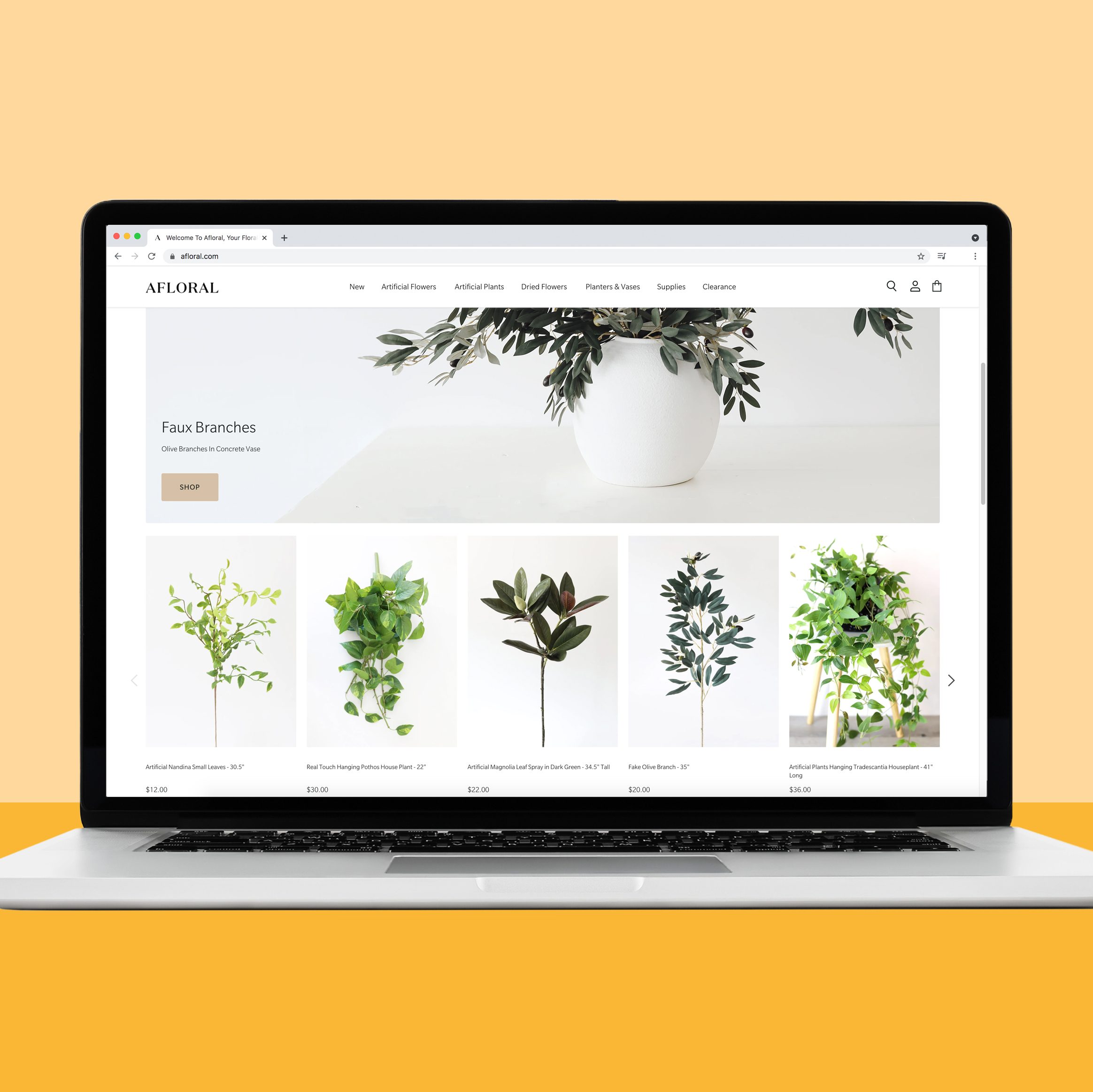 Afloral.com house plant source