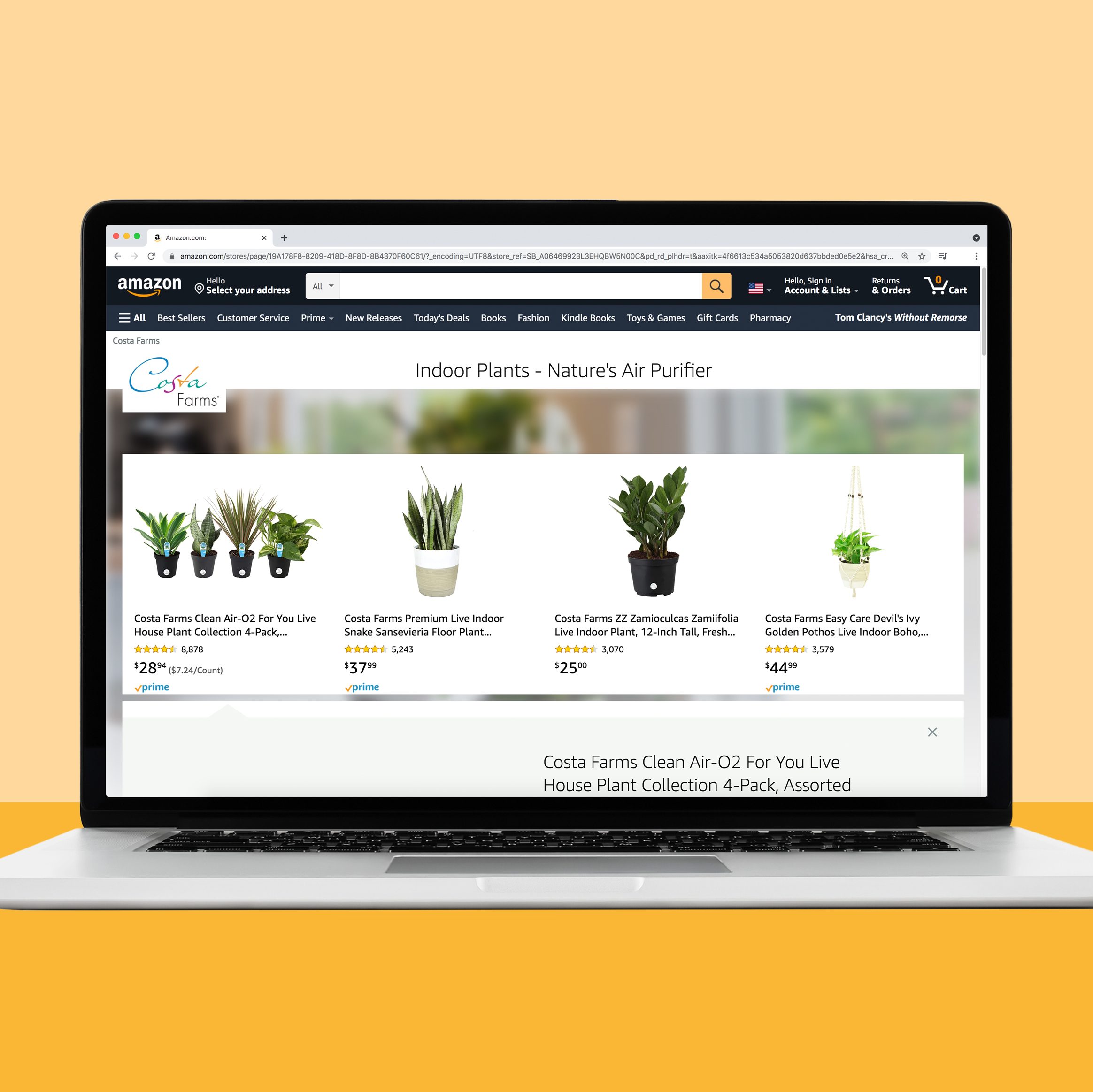 Buying house plants on amazon