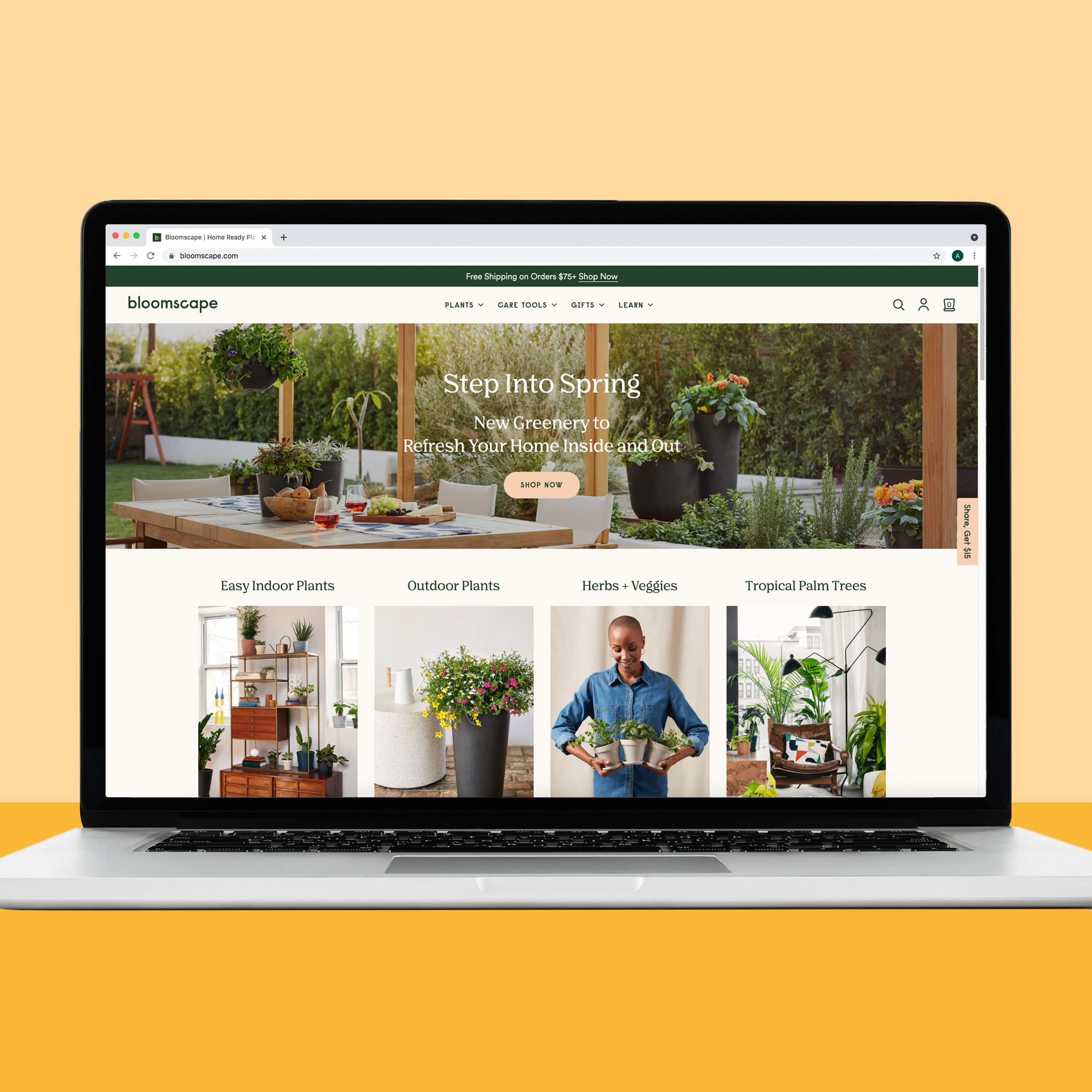 Buying house plants on Bloomscape.com