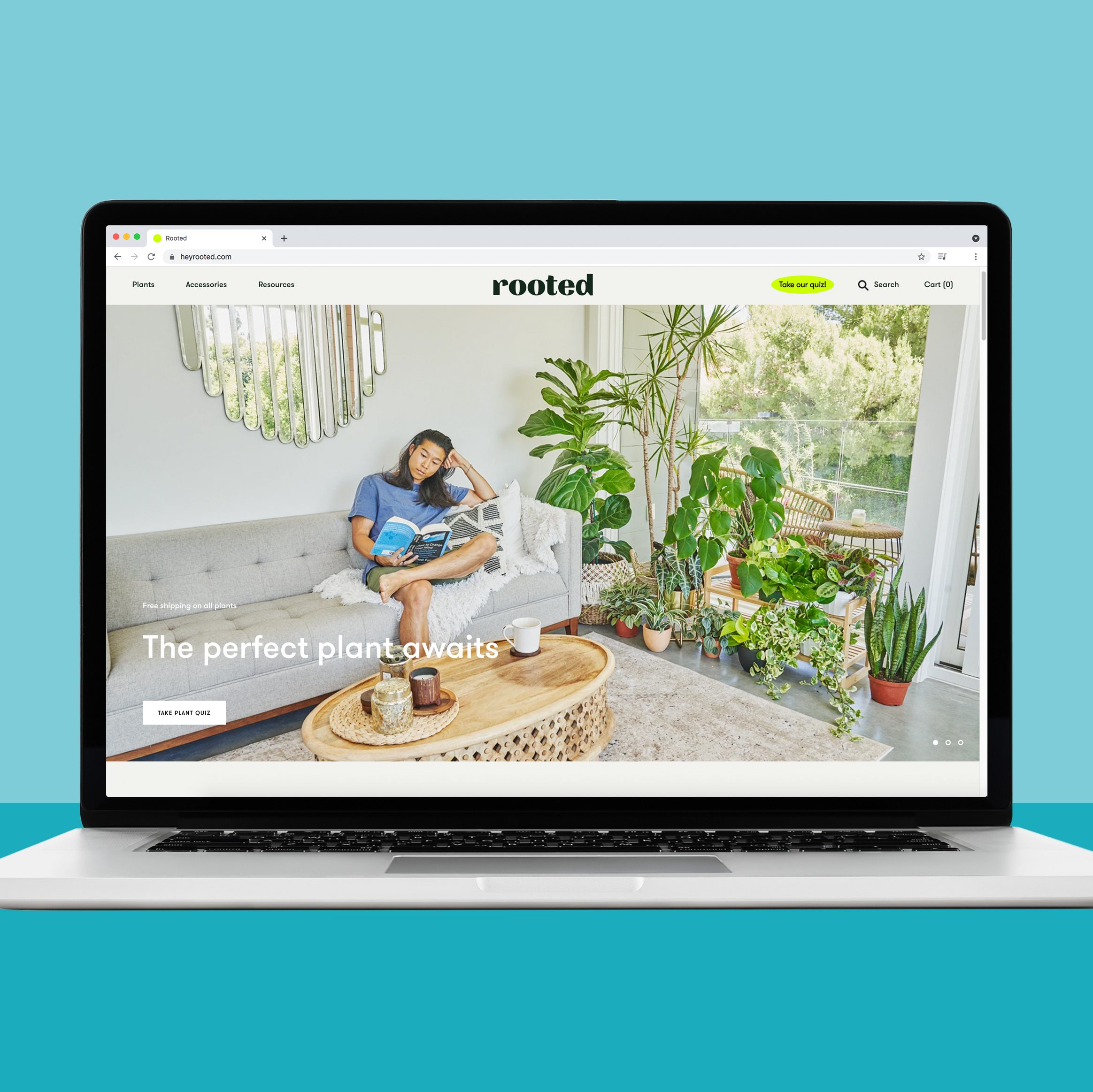 Buying plants online at Hey rooted
