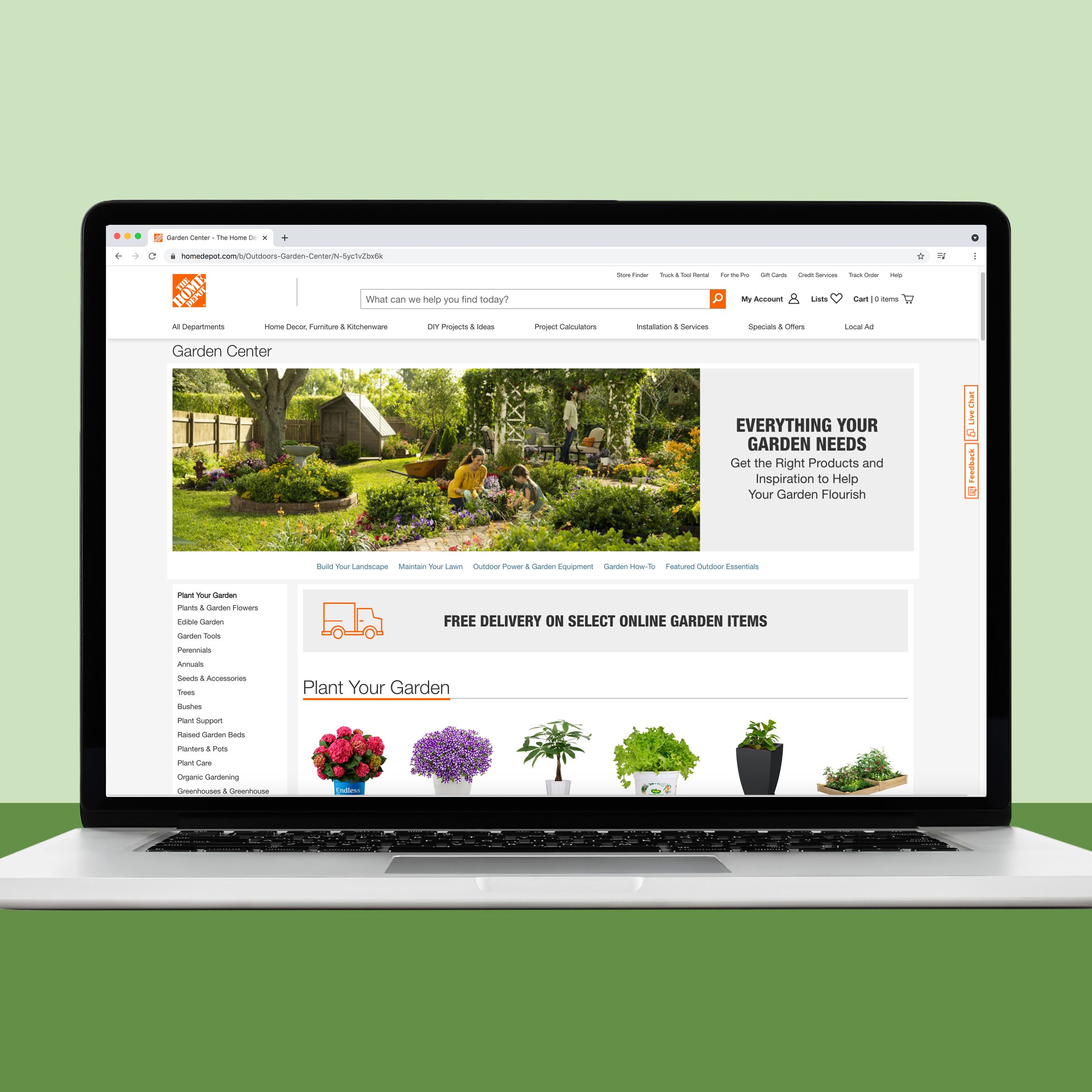 Home Depot house plants online