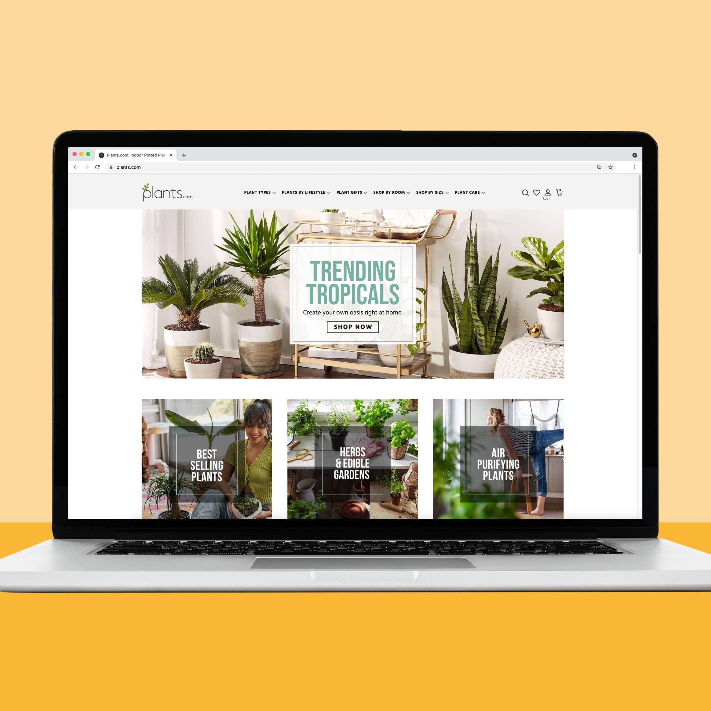 buying plants on Plants.com
