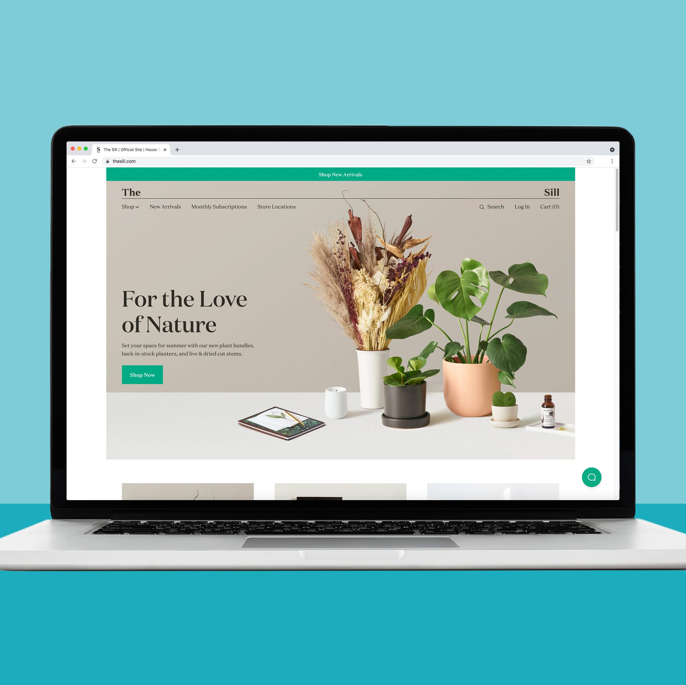 Buying house plants on The Sill