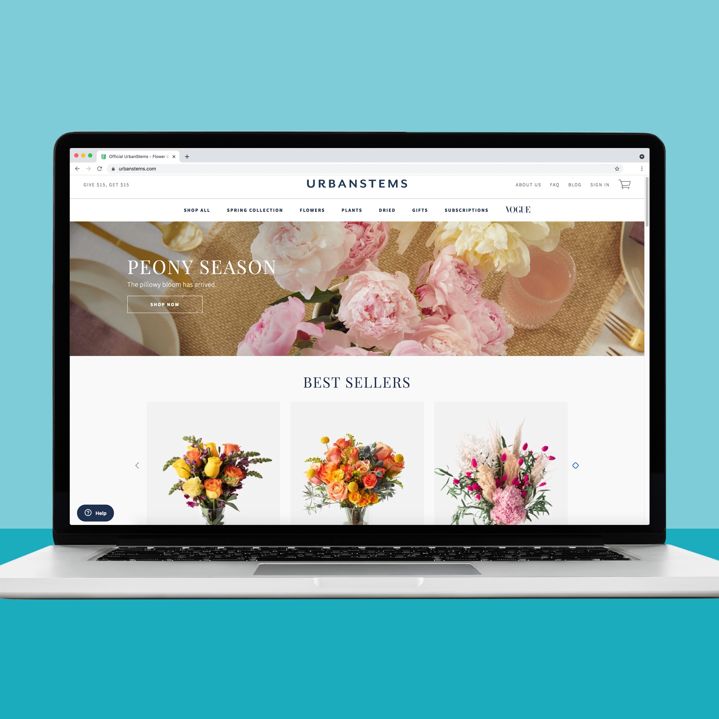 Buying plants online from urban stems