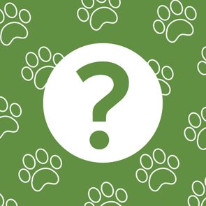 A white question mark inside a circle overlays a green background with white paw prints.