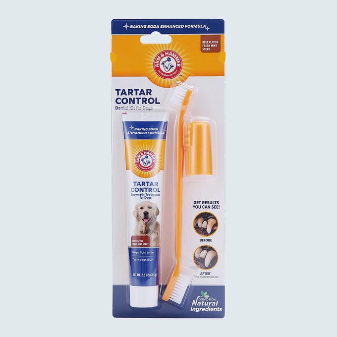 Toothpaste and brush set for dogs showcased in packaging. Includes enzymatic toothpaste, toothbrush, and finger brush, with a main focus on tartar control.