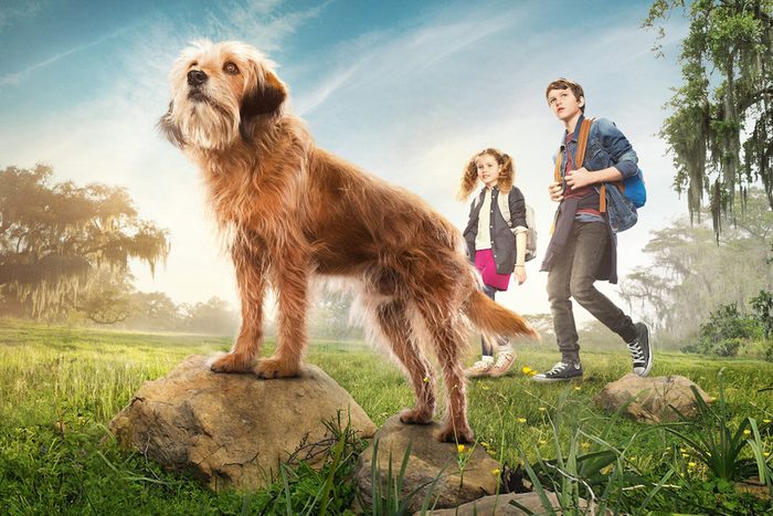 Benji Movie