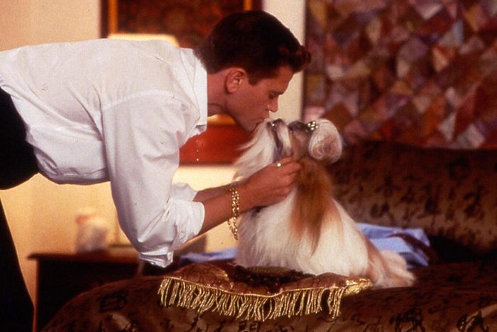 Best In Show Movie