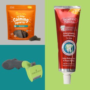 Orange bag of dog calming treats, red tube of dog toothpaste, and green FURminator brush, set against a split-color background.