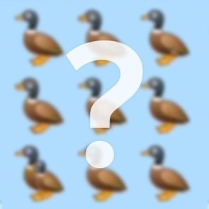Duck emojis arranged in a grid on a blue background, with a large white question mark overlaying them.