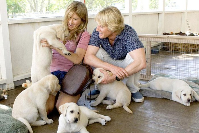Marley And Me Movie