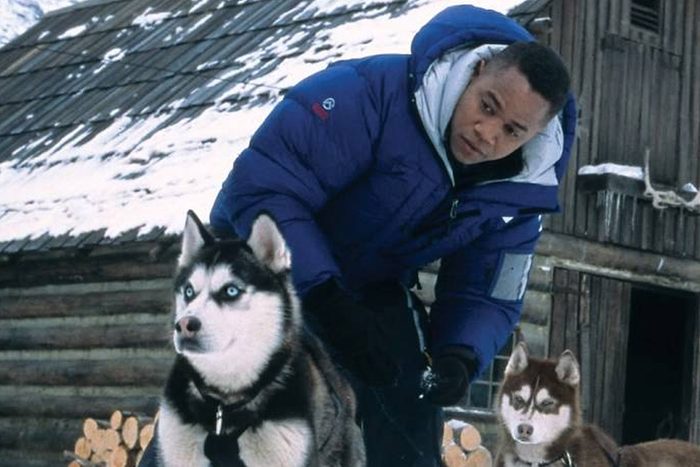 Snow Dogs Movie
