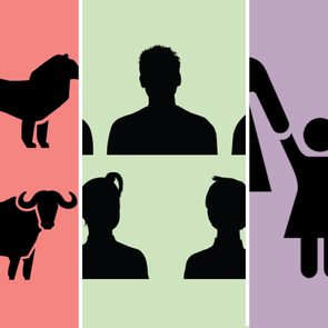 Silhouettes of animals and people are arranged on colored backgrounds: pink with animals, green with people, and purple with abstract figures.