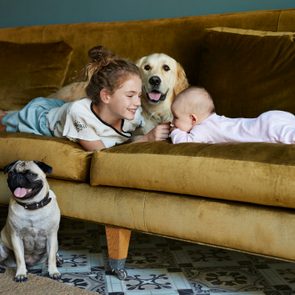 Child and baby lie on a green sofa with a golden retriever, while a pug sits on the patterned floor nearby.