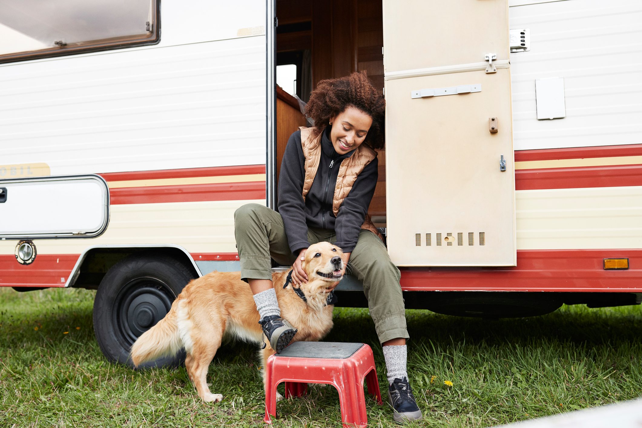 20 Most Loyal Dog Breeds That Will Always Be by Your Side
