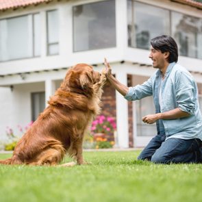 Dog high-fiving a kneeling person in front of a white house with a lawn and flower garden.